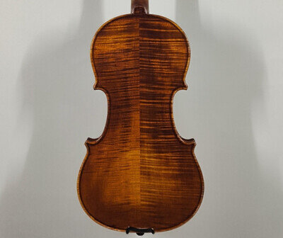 Modern Violin - Violin - Firenzi Model - 4/4