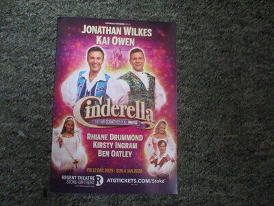 14 x NEW 2025 / 2026 Panto flyers - ALL DIFFERENT - Last Lot