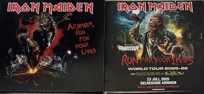 Heavy Metal Record - Iron Maiden vinyl