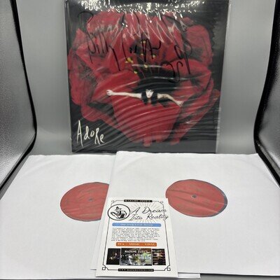 BILLY CORGAN SIGNED THE SMASHING PUMPKINS ADORE GRAY MARBLE VINYL 2 LP ✅