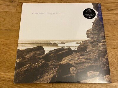 POLYGON WINDOW SURFING ON SINE WAVES CLEAR VINYL 3 LP 2025 WARP APHEX TWIN NEW