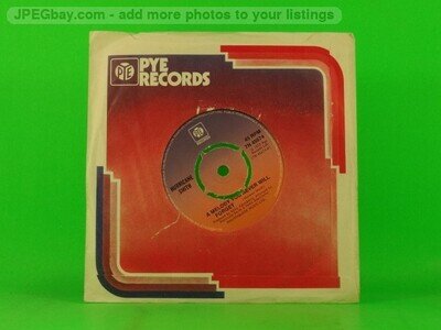 SMITH,HURRICANE MELODY YOU NEVER WILL FORGET (COMPANY SLEEVE) (137) 7" PYE