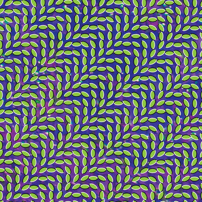 Animal Collective Merriweather Post Pavilion Black Vinyl LP New Sealed
