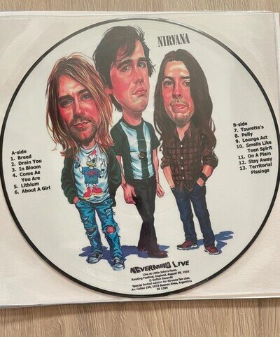 Nirvana never mind picture disc vinyl record