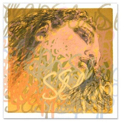 Evah Pirazzi Slap Orchestra Bass String Set 3/4