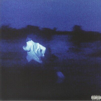 DANIEL CAESAR - Never Enough - Vinyl (gatefold 2xLP)