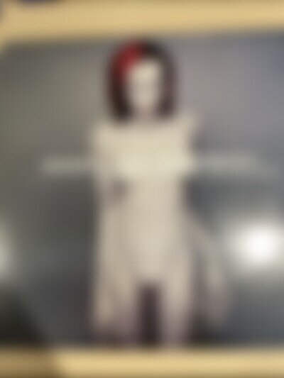 Marilyn Manson Mechanical Animals Vinyl Double Grey/Silver LP