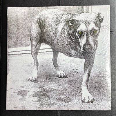 Alice In Chains Self Titled 3 Leg dog Tripod
