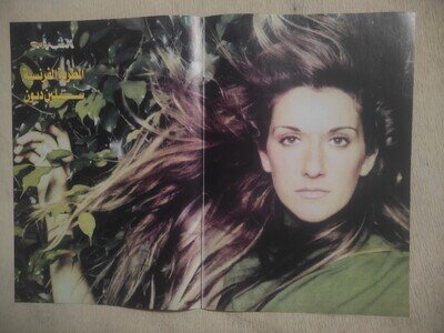Original Fold-Out Poster Céline Dion Natalie Portman Magazine Clipping 15 x 11