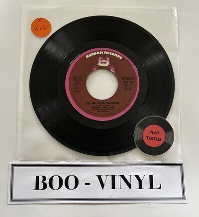 Bobby Wilson - I'll Be Your Rainbow 7” Funk Soul Buddah Records Soul Funk VG+