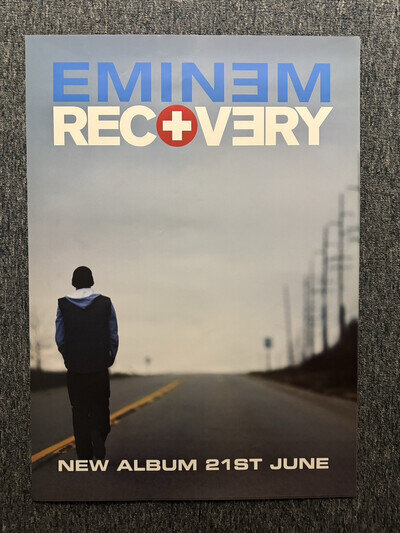 RARE ORIGINAL 77x51cm BILLBOARD RECORD STORE POSTER - EMINEM (2010)