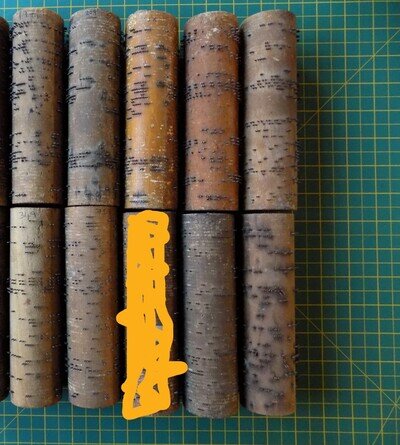 9 Tunes Songs Gem Concert Cabinet Roller Barrel Organ Drehorgel Cob Organette