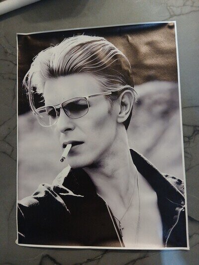David Bowie Canvas Poster Reprint.