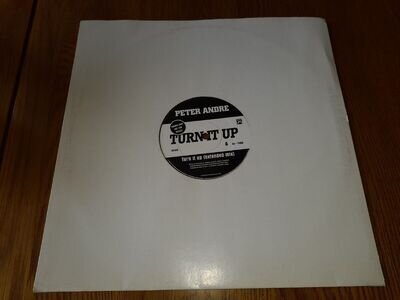 Peter Andre Turn It Up Promo 12 Inch Single Vgc Play Tested Vinyl