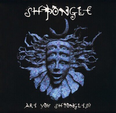 Shpongle - Are You Shpongled? (x3LP VINYL) MINT Psy Trance