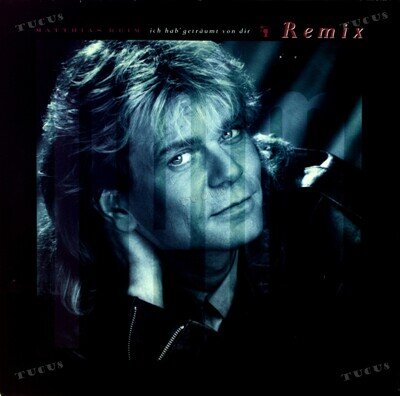 Matthias Reim - Ich Hab' Geträumt Von Dir (Remix) Maxi 1990 (VG+/VG+) '*