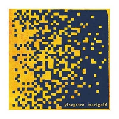 Pinegrove - Marigold | 12" Vinyl LP | Handled With Care