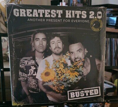 Busted - Greatest Hits 2.0 (Another Present For Everyone) [VINYL]