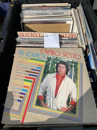 Camilo Sesto 15 Exitos LP Vinyl 1980