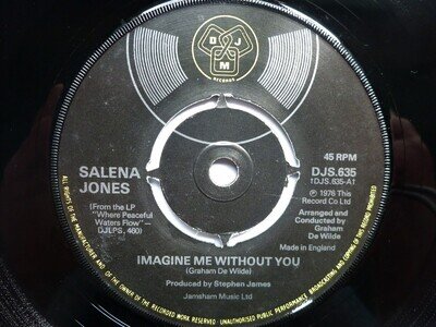 Salena Jones Imagine Me Without You 7" DJM DJS635 EX 1976