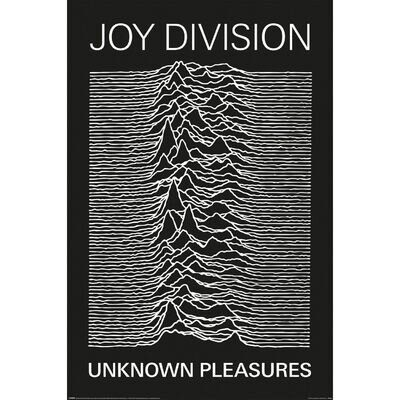 Joy Division Poster - Official Unknown Pleasures Maxi Poster 91.5 x 61cm