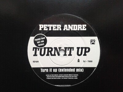 PETER ANDRE "TURN IT UP" 12" PROMO SINGLE 1995 N/MINT