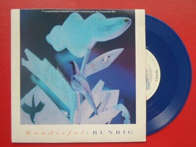 Runrig Wonderful 7" Chrysalis CHSS3952 EX /EX 1993 picture sleeve, blue vinyl