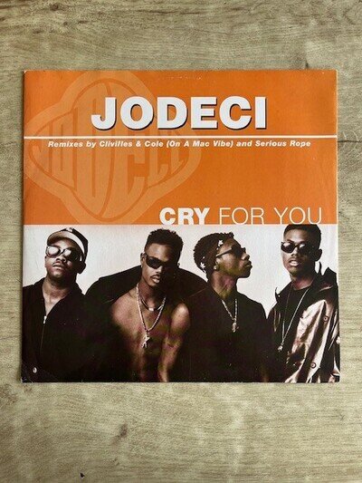 Jodeci - Cry For You/Wont Waste You/You Got It 12" - 1993 Vinyl - House Remixes