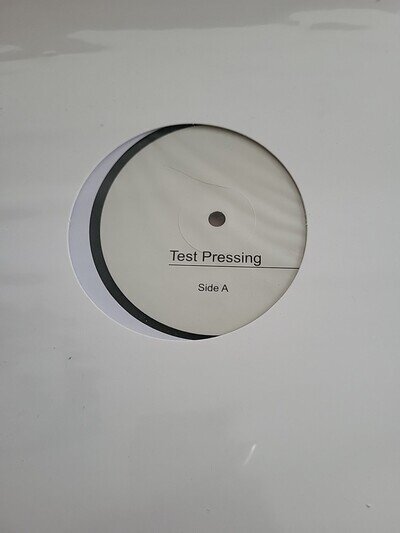 The PIXIES- The Night The Zombies Came Rare Numbered White Label 6/100 Worldwide