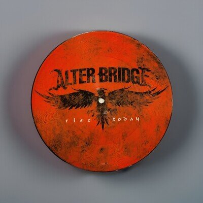 2007 UK ALTER BRIDGE - RISE TODAY 7” Picture Disc Single 1747684 EX/EX