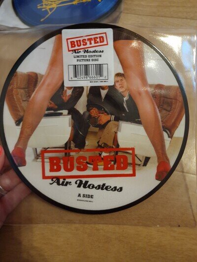 Busted - Air Hostess picture disc Vinyl mcfly pop band