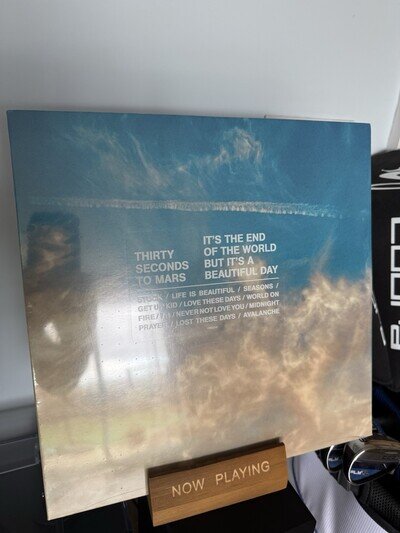 30 Seconds To Mars It’s The End Of The World But It’s A Beautiful Day(Vinyl)
