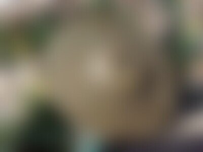 8 inch Leedy or Ludwig 1920s? Lowboy SOCK vintage cymbal, 185 grams, very old