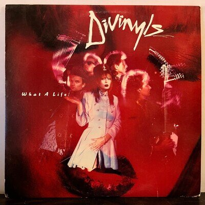 DIVINYLS - What A Life! (1985 Promo) - 12" Vinyl Record LP - EX