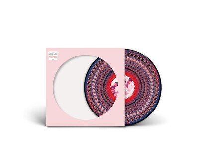 Take That - Everything Changes Zoetrope Picture Disc Vinyl LP (New)