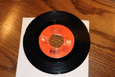 NEW VINYL 45 GIN BLOSSOMS ALLISON ROAD B/W UNTIL I FALL AWAY NEW UNPLAYED
