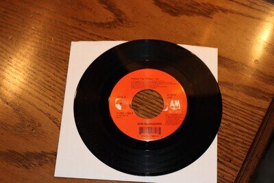 NEW VINYL 45 GIN BLOSSOMS FOLLOW YOU DOWN B/W TILL I HEAR IT FROM Y NEW UNPLAYED