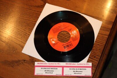 NEW VINYL 45 GIN BLOSSOMS AS LONG AS IT MATTERS B/W ALLISON ROAD NEW UNPLAYED
