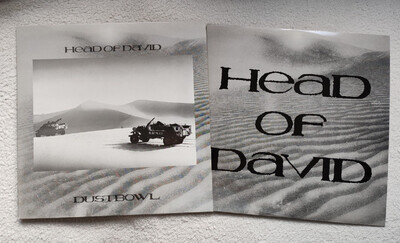 HEAD OF DAVID Dustbowl LP 1988 UK PRESS Godflesh NAPALM DEATH Industrial⭐EX/EX⭐