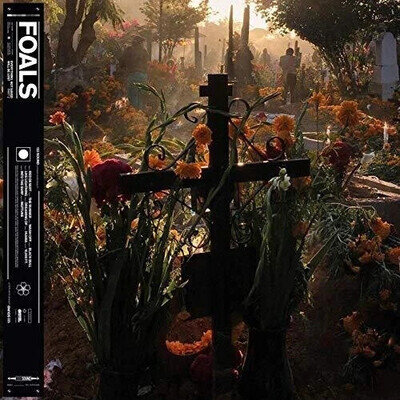 Foals - Everything Not Saved Will Be Lost Part 2 [Vinyl LP, Mint/new/sealed]