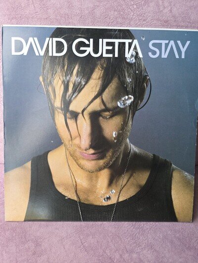 David Guetta – Stay 12" Vinyl Record (France, 2004, House)