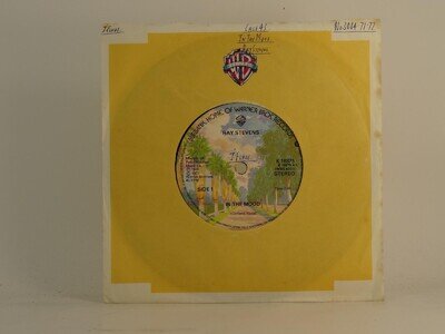 RAY STEVENS IN THE MOOD (71) 2 Track 7" Single including Picture Sleeve WARNER B