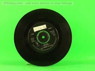 ROBBINS,KATE & BEYOND RUN WILD (137) 7" RCA