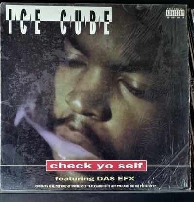 Ice Cube – Check Yo Self Ft Das EFX / Good Day Remix / 24 With A L (Priority) 93