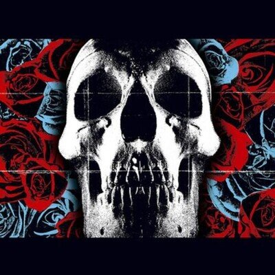 Deftones Deftones (Vinyl) 12" Album