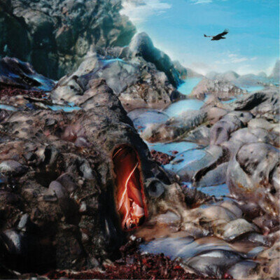 Kleenex Girl Wonder Vana Mundi (Vinyl) 12" Album