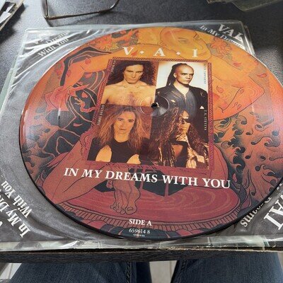 MINT! Steve Vai – In My Dreams With You 12" VINYL PICTURE DISC 1993
