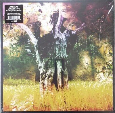 ANIMAL COLLECTIVE - MEETING OF THE WATERS [New & Sealed] 12" Vinyl