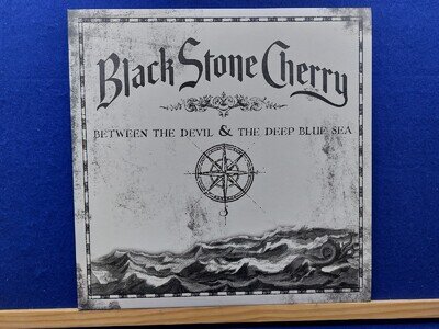 Black Stone Cherry Between the Devil Vinyl Record