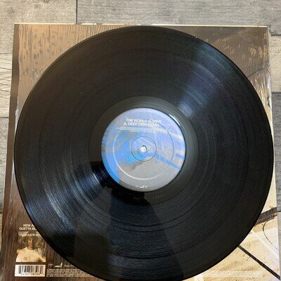 World Is Mind Part 2 by David Guetta (Record, 2005)